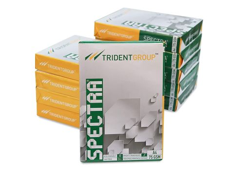 Trident Spectra A4 75 GSM Paper 500 sheets/Ream